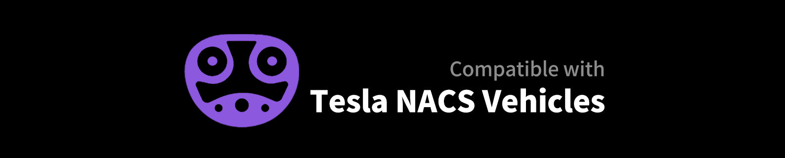 WETOX Tesla V2L adapter,V2L discharge device